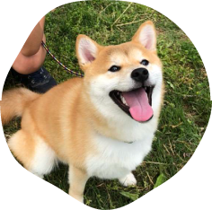 もちくん