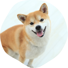 もちくん